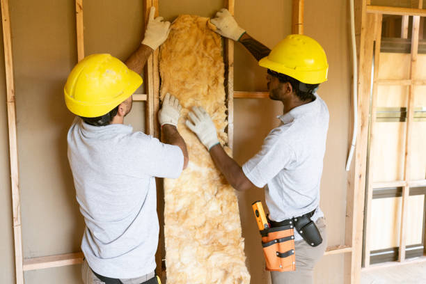 Types of Insulation We Offer in Batesburg Leesville, SC